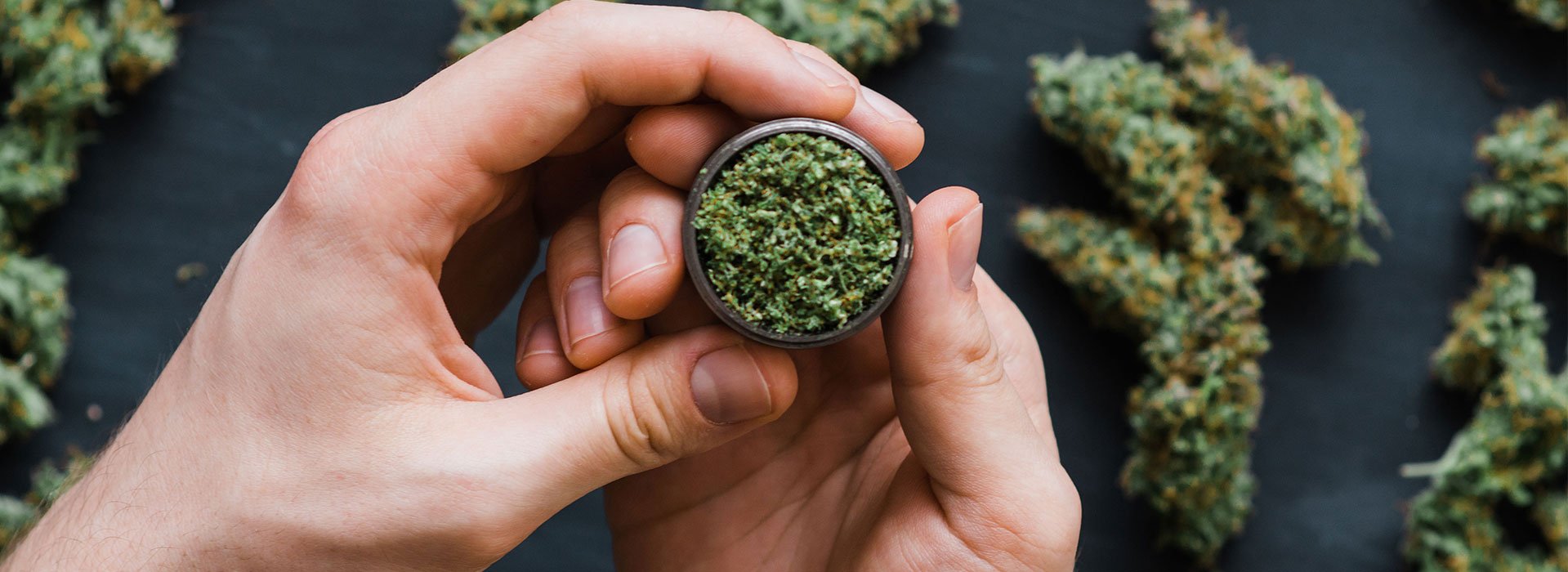 Ripe Ethiopian coffee cherries